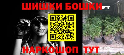 индика Комсомольск-на-Амуре