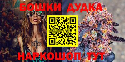 индика Комсомольск-на-Амуре