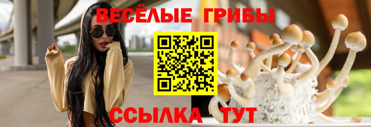 Кушва  Псилоцибиновые грибы ЛСД  что такое наркотик  Вход с VPN 